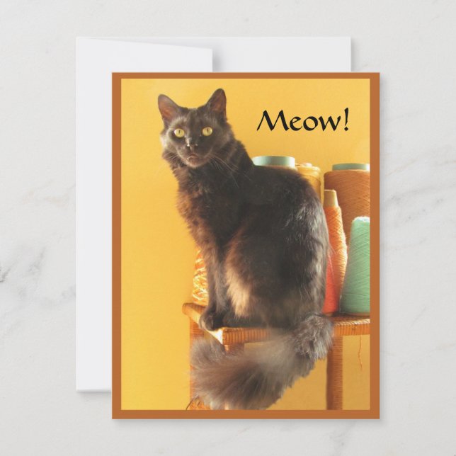 Note Card – Crafty Cat (Front)