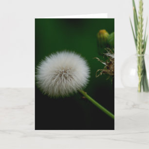 Note Card - Dandelion