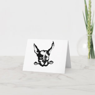 Note Card : Doberman