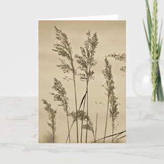 Note Card Grasses