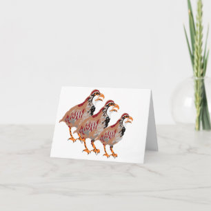 Note Card : Partridge