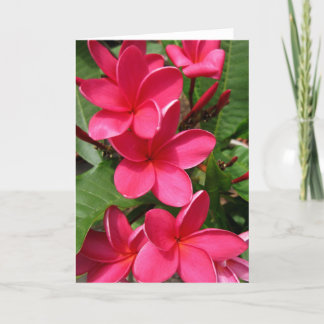 note card - pink plumerias
