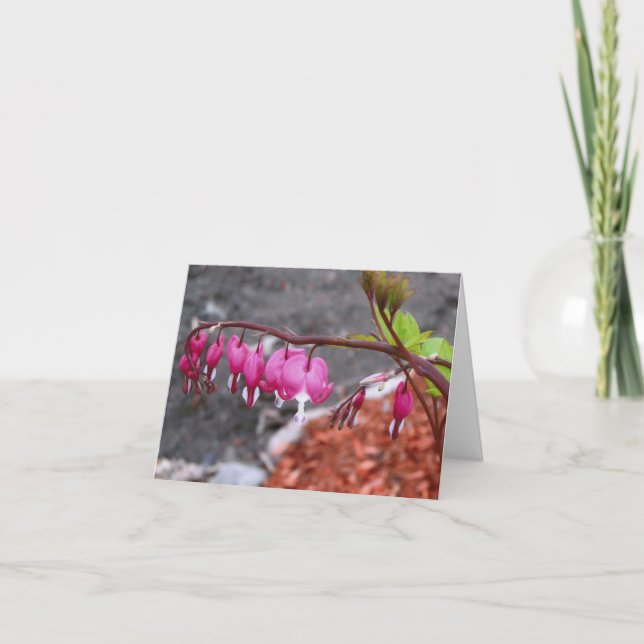 Note Card, Pink & White Bleeding Heart flowers Card (Front)