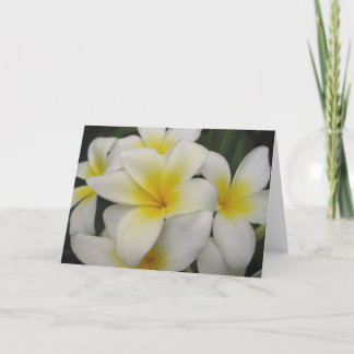 note card - white plumerias