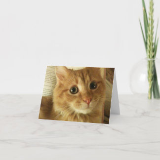 Note Card With Cute Cat
