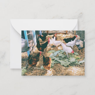 Note Cards