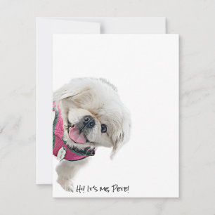 Note cards featuring Peter Rottentail