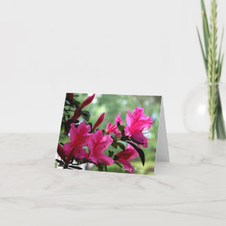 Note Cards Flowers