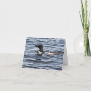 Note Cards - Loon Design - Loon Pride