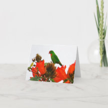 Note cards wtih exotic parrot on orange flowers