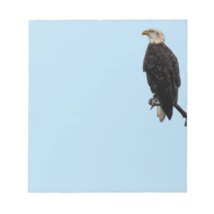 Note pad Eagle