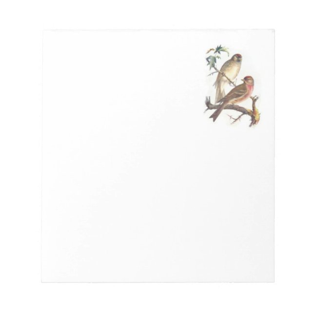 Note Pad with Beautiful Birds (Front)