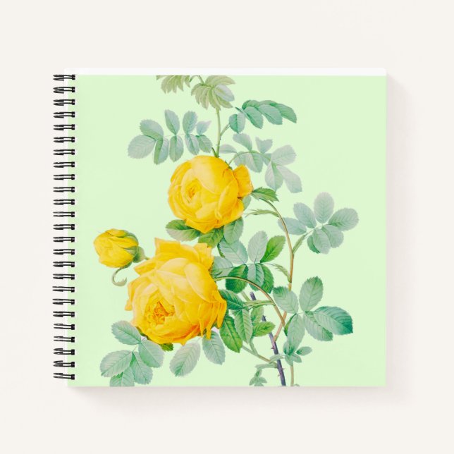 NOTEBOOK (Front)