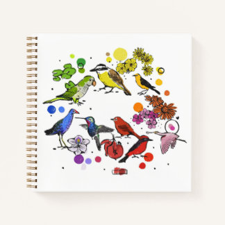 notebook birds