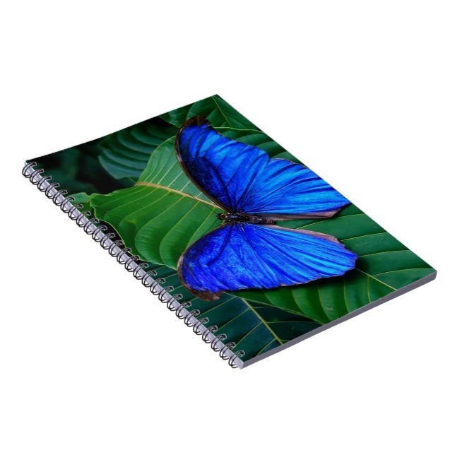 Notebook-Butterfly Notebook (Right Side)