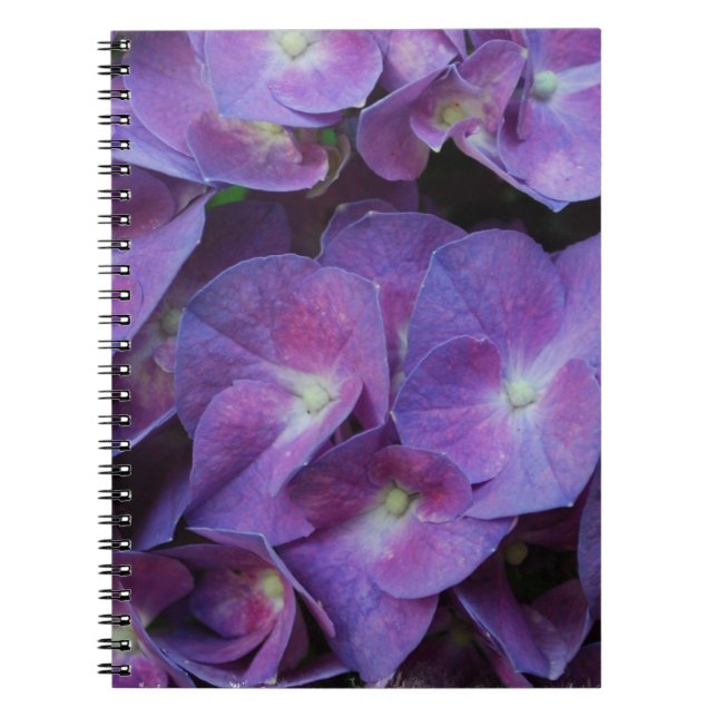 Notebook - Customised (Front)