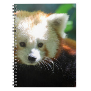 Notebook - Customised