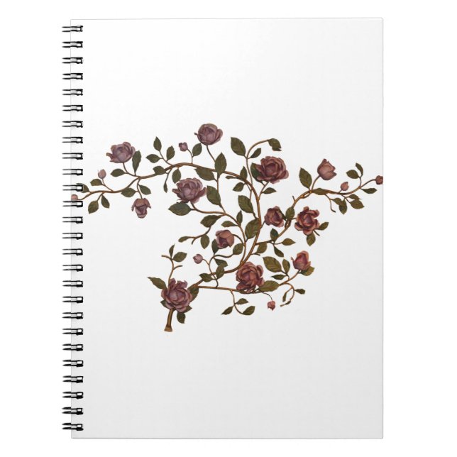 Notebook Haven: Discover the Best Designs (Front)