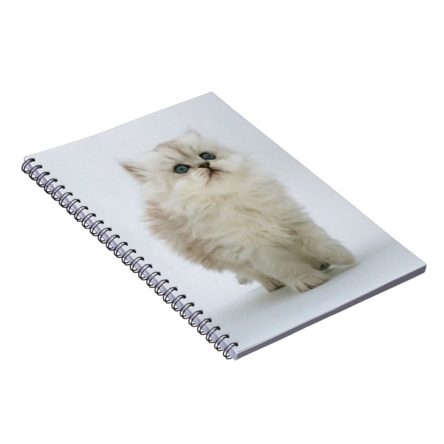 Notebook-Kitten Spiral Notebook (Right Side)