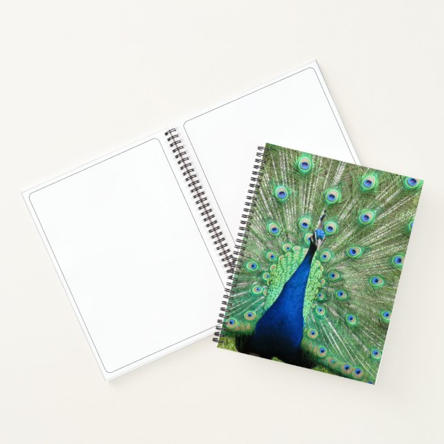 Notebook - Peacock Portrait (Inside)