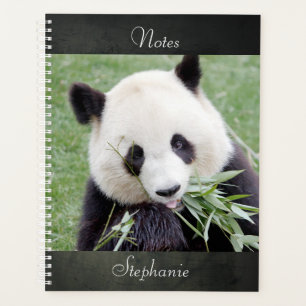 Notebook Photo giant panda , animals 03. notebook Planner
