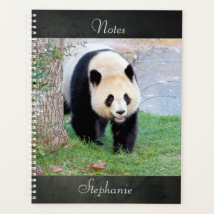 Notebook Photo giant panda , animals 05. notebook Planner