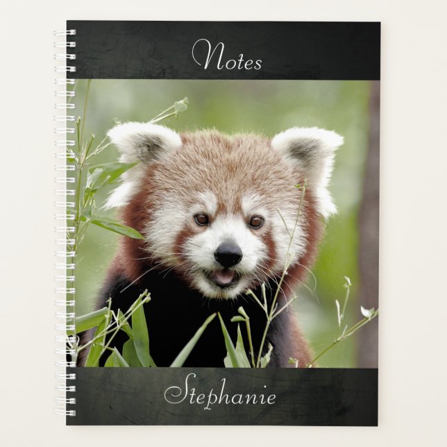 Notebook Photo red panda , animals 01. notebook Planner (Front)