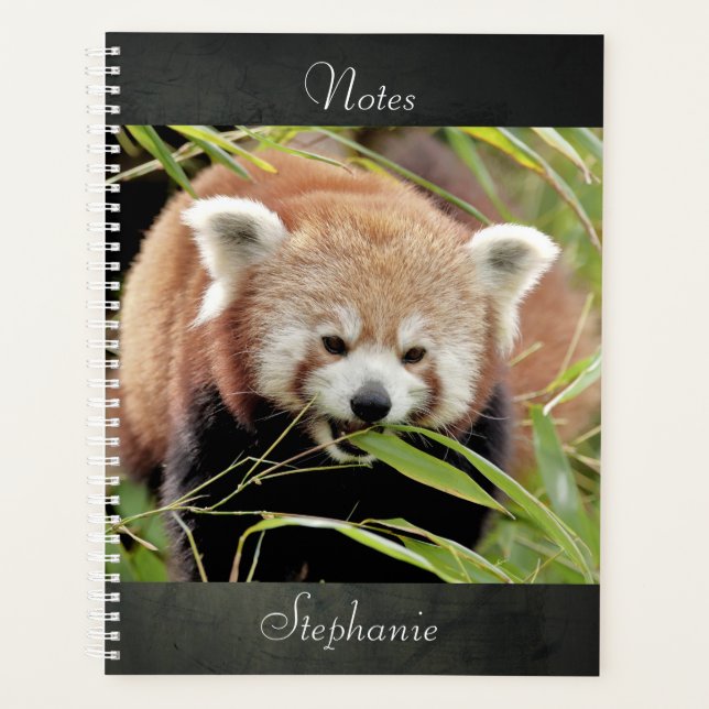 notebook Photo red panda , animals 02. notebook Planner (Front)