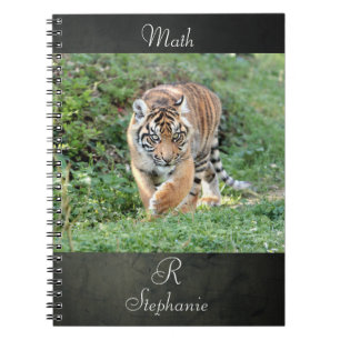 notebook Photo tiger , animals.