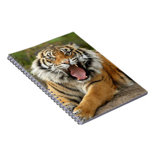 Notebook-Tiger Spiral Notebook