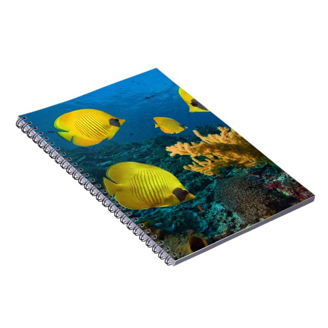 Notebook-Tropical Fish Notebook (Right Side)