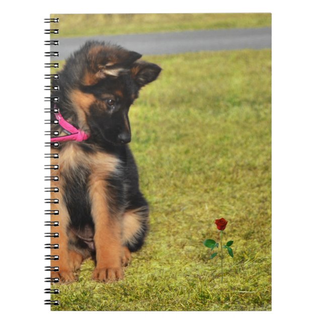 Notebook with german shepard admiring a rose (Front)