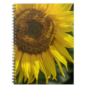 Notebook - Yellow Sunflower