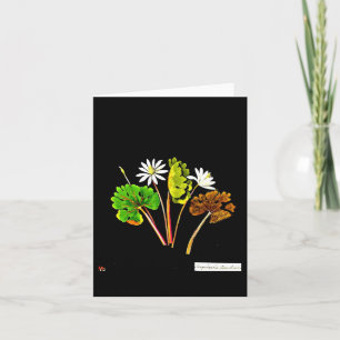 Notecard-Botanical Art-Mary Delany 13 Card