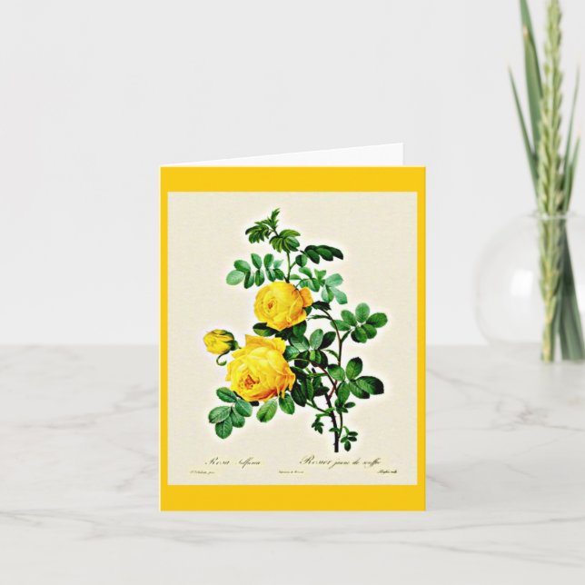 Notecard-Botanicals-Pierre Joseph Redoute 13 Card (Front)