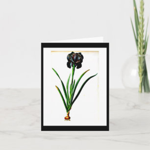 Notecard-Botanicals-Pierre Joseph Redoute 18 Card
