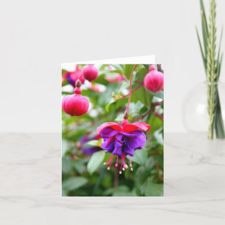 Notecard Fuschia