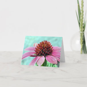 Notecard - Pink Coneflower