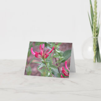 notecard pinkflower
