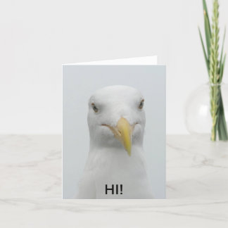 Notecard - Seagull says "Hi!"