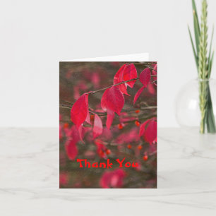 NOTECARD, "THANK YOU" RED LEAVES THANK YOU CARD