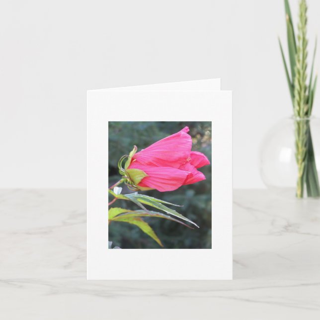 Notecard with brilliant red flower (Front)