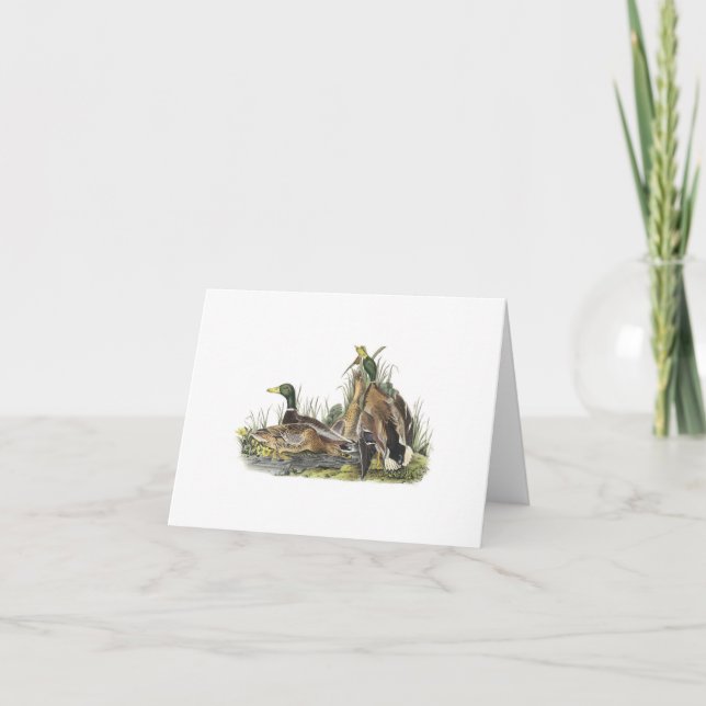Notecard with Mallard Duck Nest (Front)