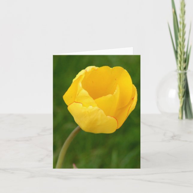 Notecard Yellow Tulip (Front)