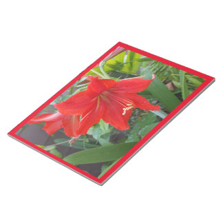 Notepad With Big Bright Red Flower
