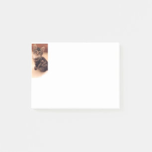 Notes Cat Kitten Kitty