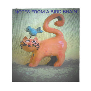 Notes from a bird brain kitty