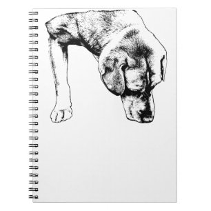 Notes From A Quiet Walk Notebook