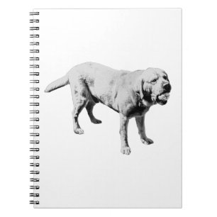 Notes of Play Notebook