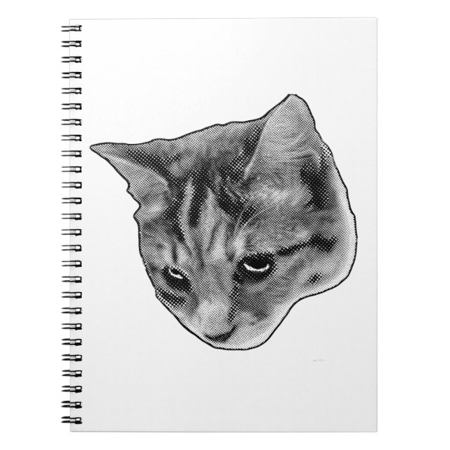 Notes Under Watchful Eyes Notebook (Front)